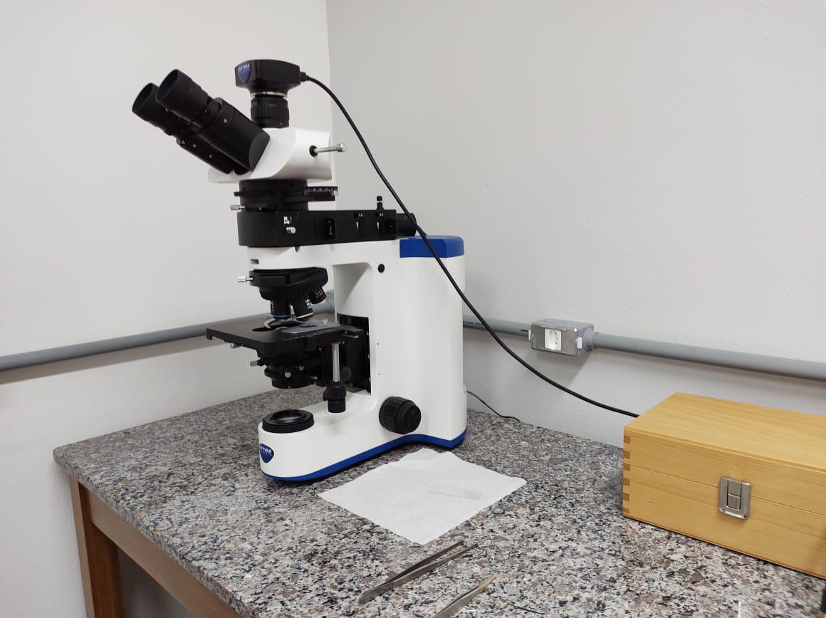 WhatsApp Image 2021 05 13 at 103948 AM 1